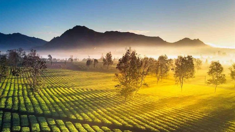 thuê xe đi tây nguyên